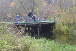 bridge3.1.jpg