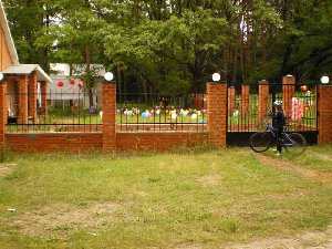 Поле шариков. Теперь мы знаем, что они растут, а не выпускаются на заводах.