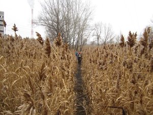 IMG_41500.jpg
