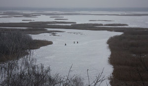 2012_12_31_7988_a.jpg