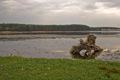 IMG_9874.jpg