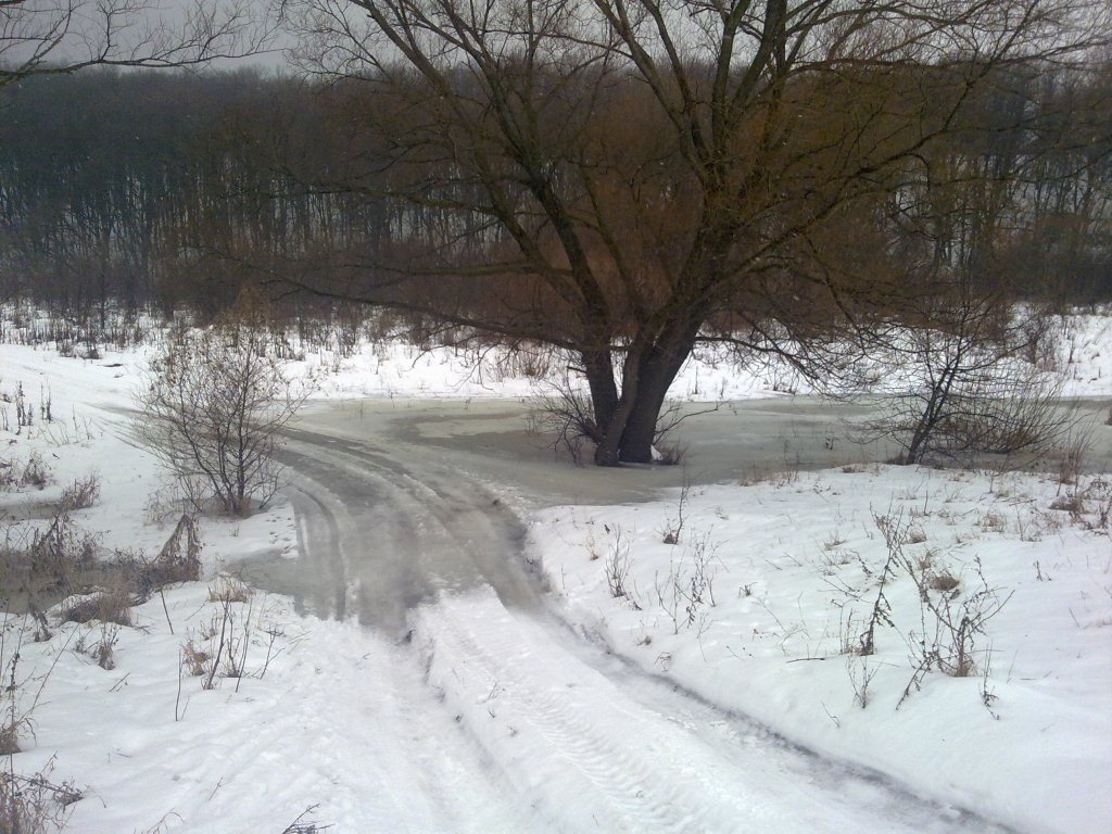 03022013136.jpg