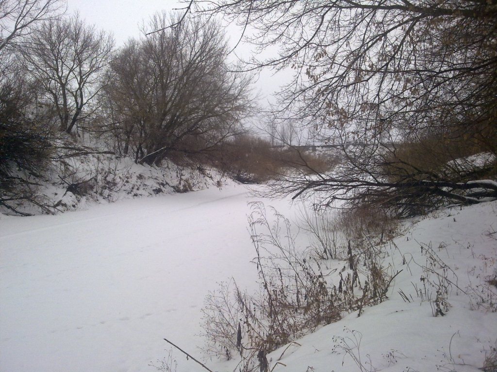 03022013138.jpg