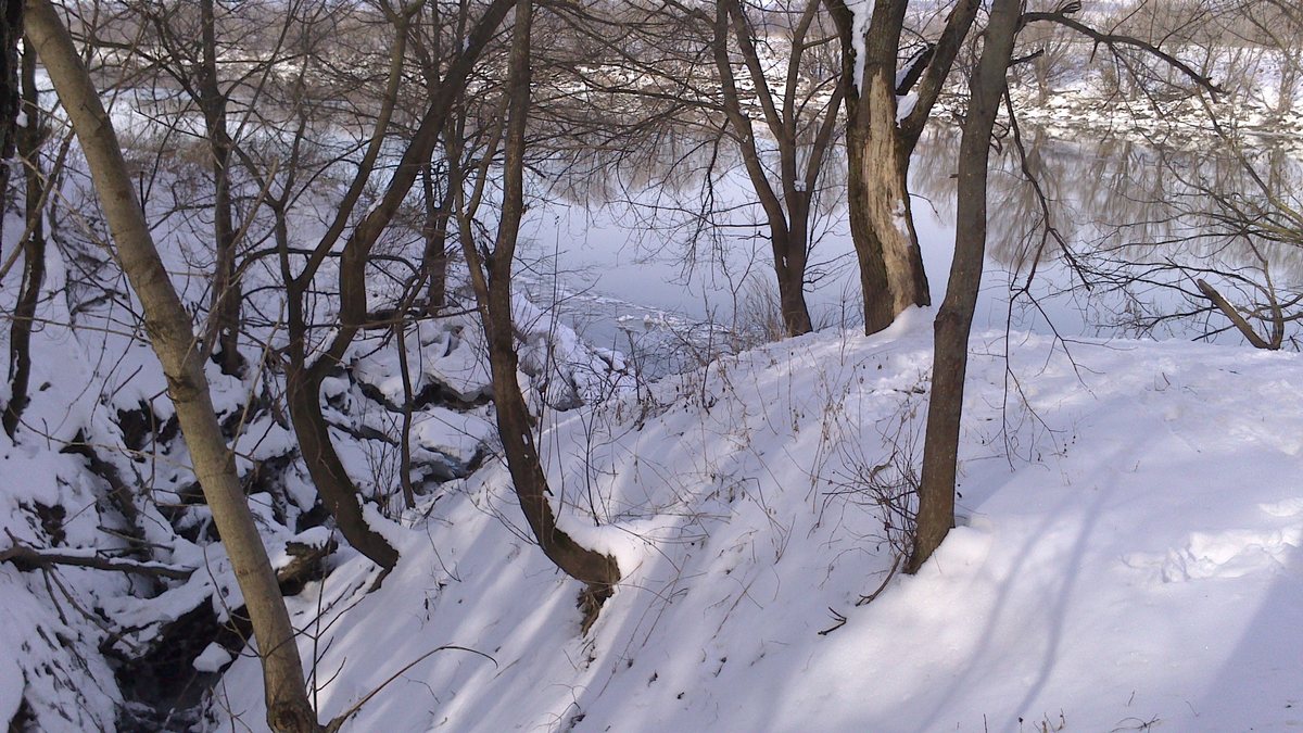 DSC_0785_.jpg