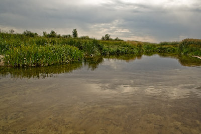IMG_9899.jpg