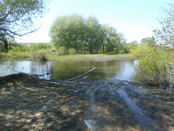 waters1.jpg