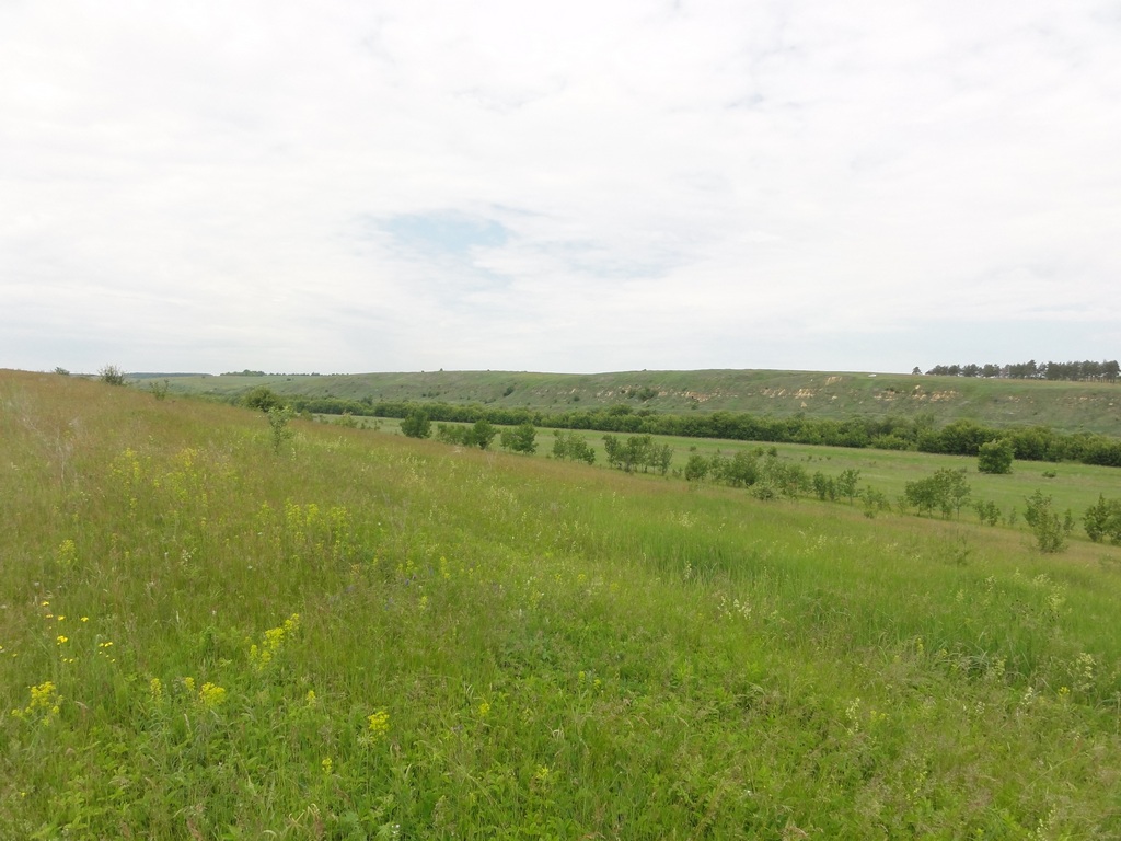 DSC05051_.jpg