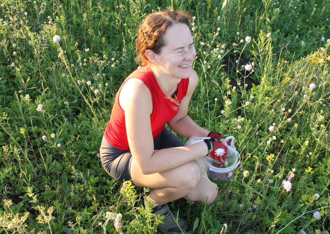 Насмехается над врагом!