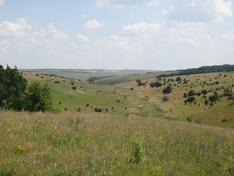 В истоках