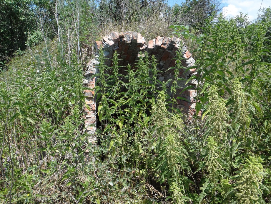 Погреба брошенных домов