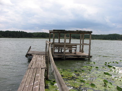 IMG_3445_resize.JPG