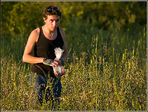 -землянике-08.jpg