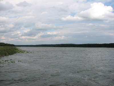 IMG_3448_resize.JPG