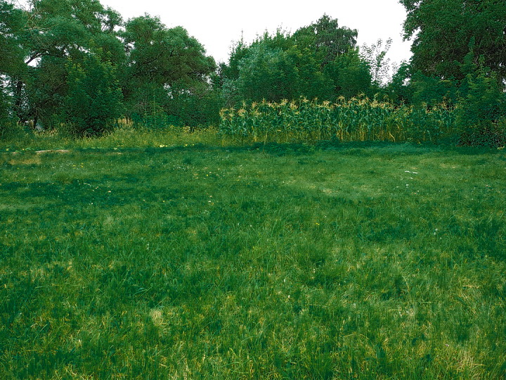 DSCN0937.JPG