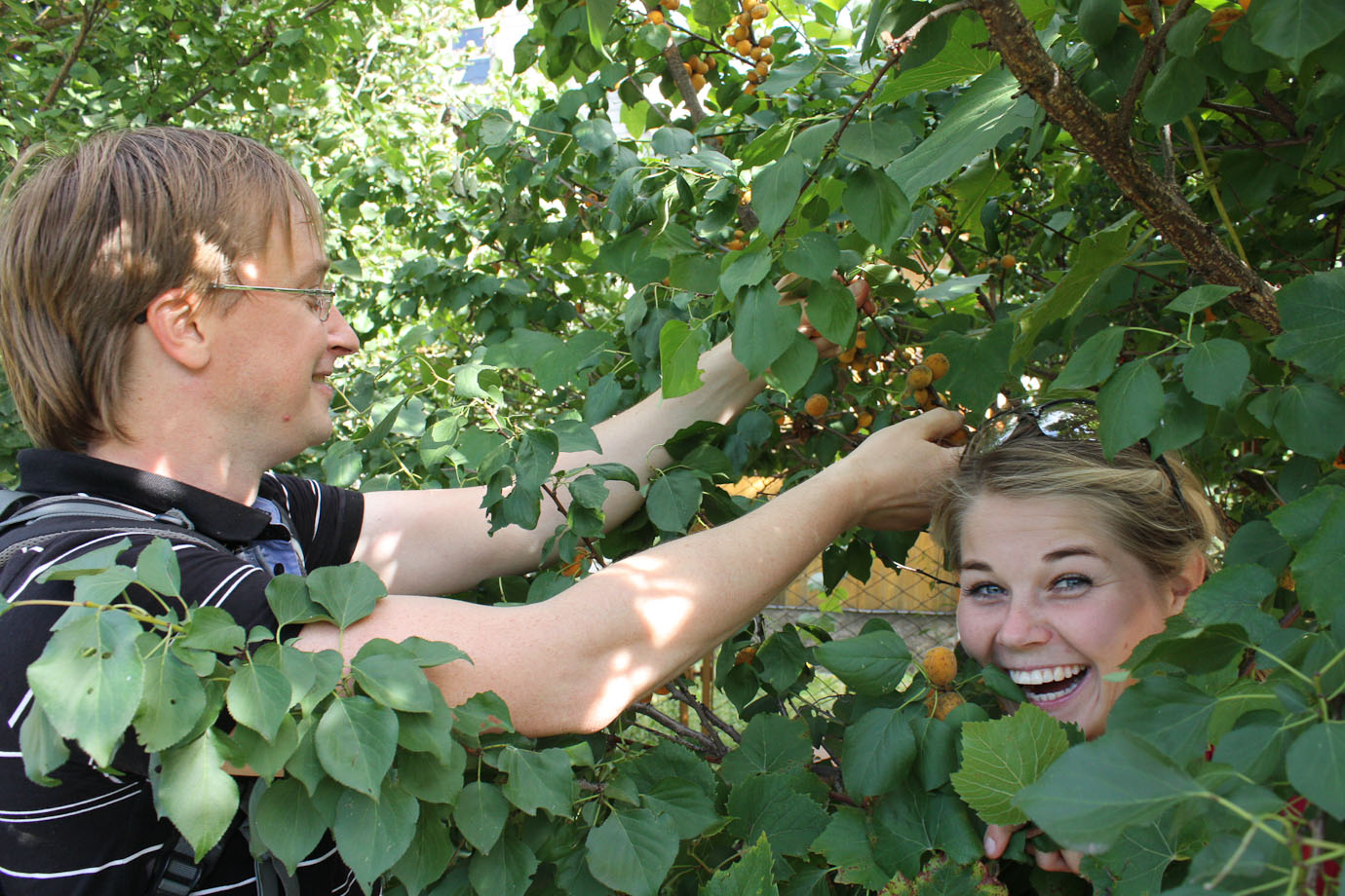 2013_08_02_9870_a.jpg