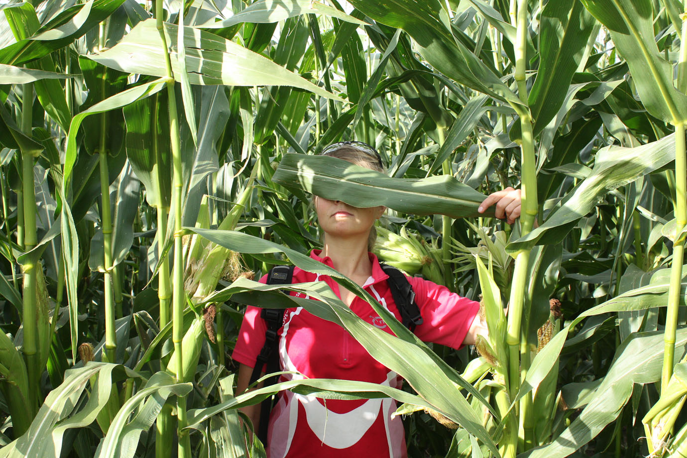 2013_08_02_9952_a.jpg