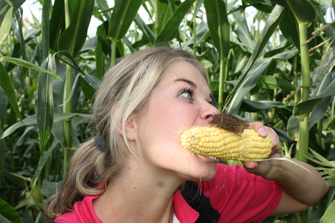 2013_08_02_9964_a.jpg