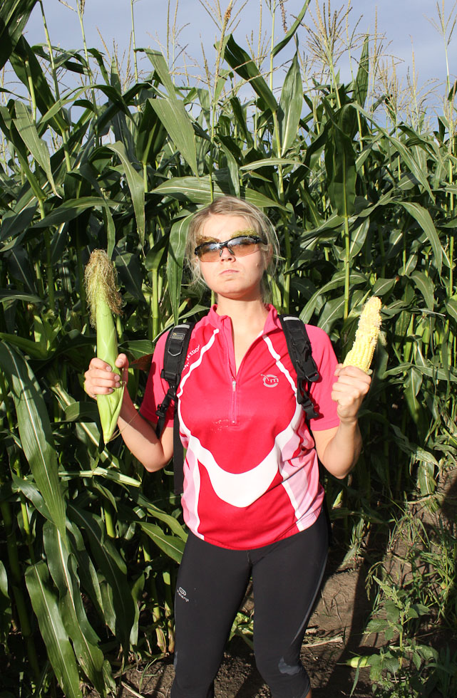 2013_08_02_9977_a.jpg