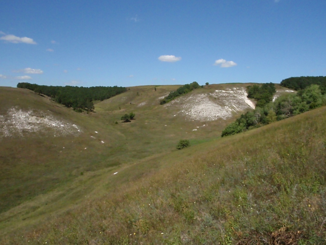 P8181934.JPG