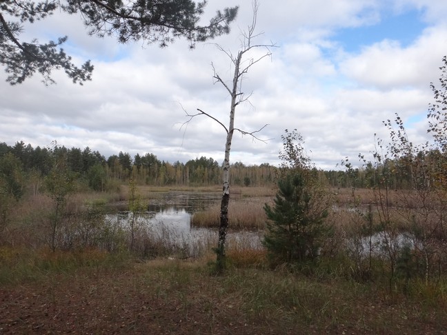 DSC01124.JPG
