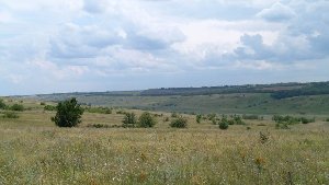 Resize of S7302809.JPG