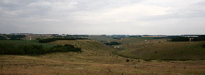 IMG_9222.JPG