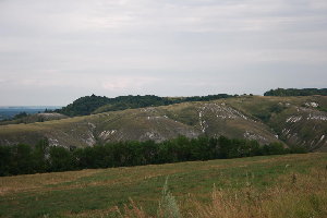 IMG_9225.JPG