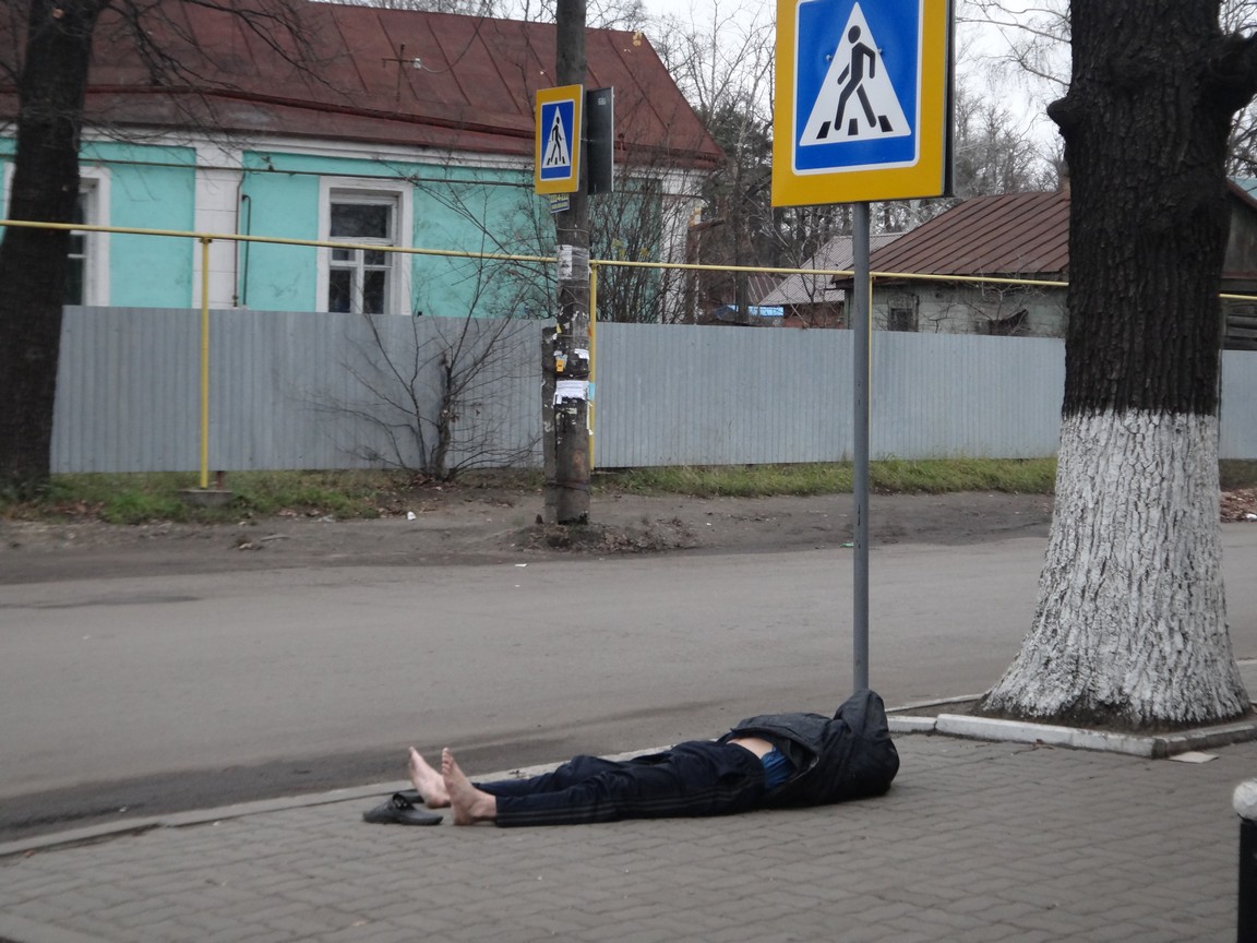 Он тоже хотел подружиться, но немного не добрел