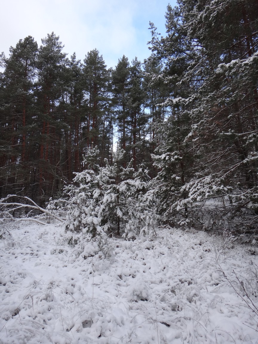 DSC01491.JPG