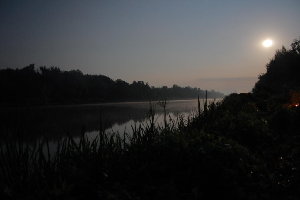 IMG_9268.JPG