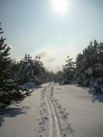 x_87c51249.jpg
