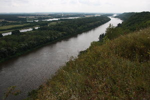 IMG_9300.JPG