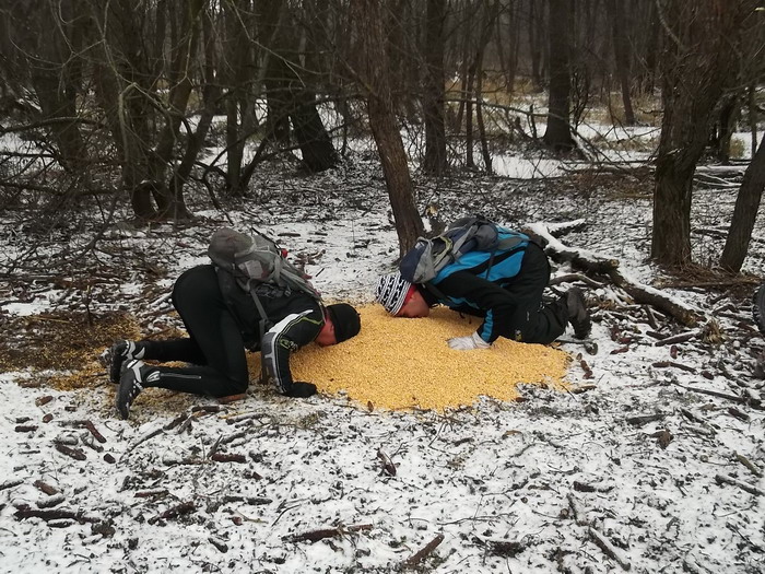 7feedin themselves.jpg