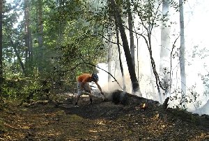 Герострат