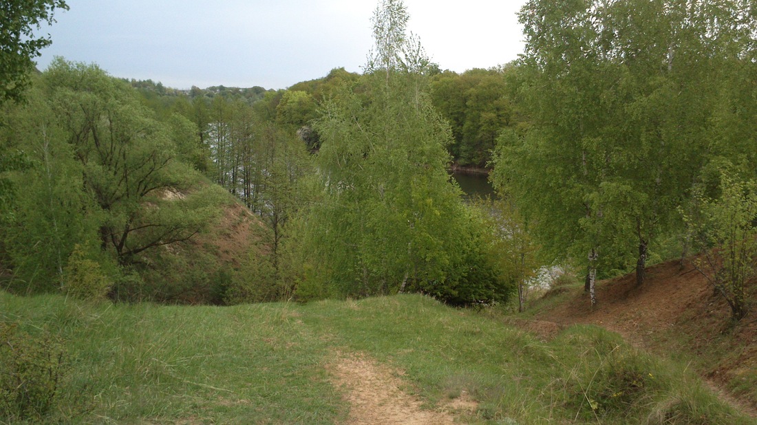 20140510-101235.jpg