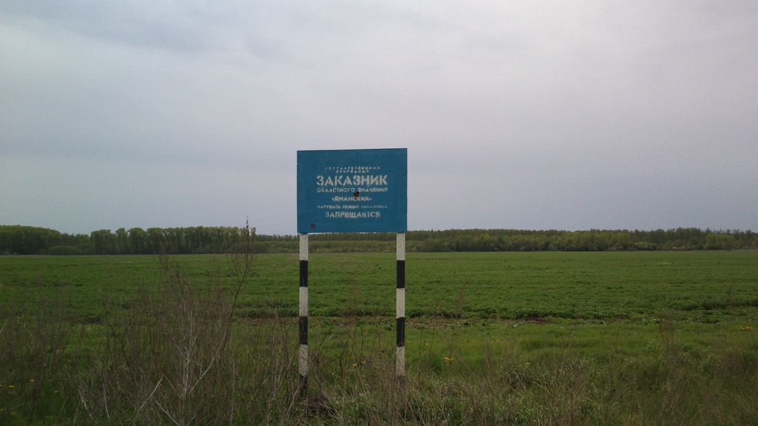 20140510-110801.jpg