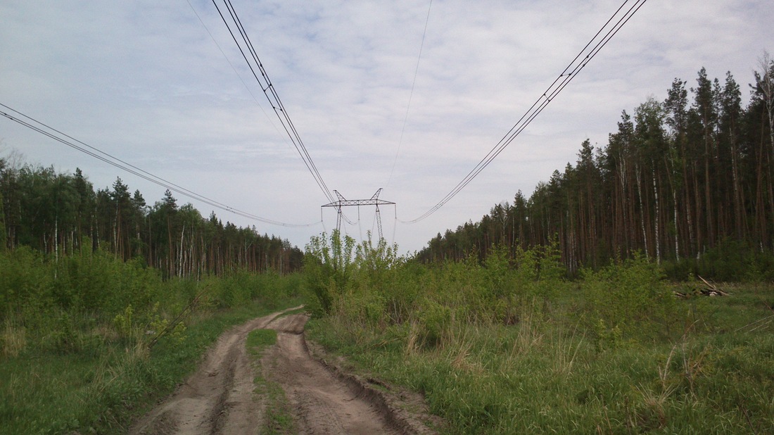 20140510-160639.jpg