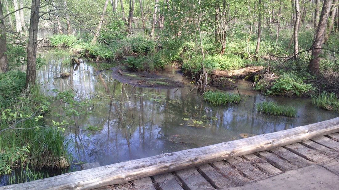 20140510-172238.jpg