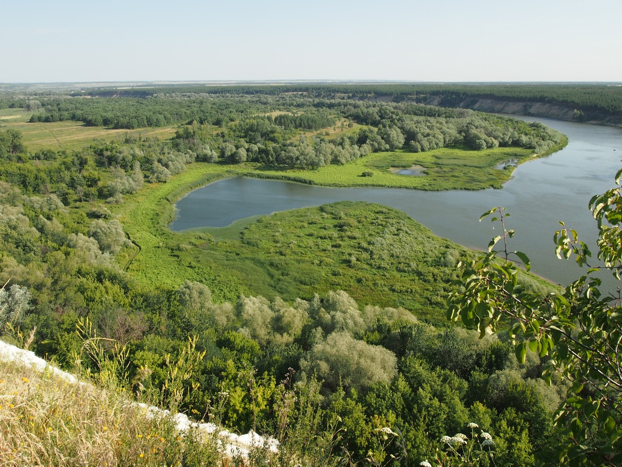 Image00010.jpg