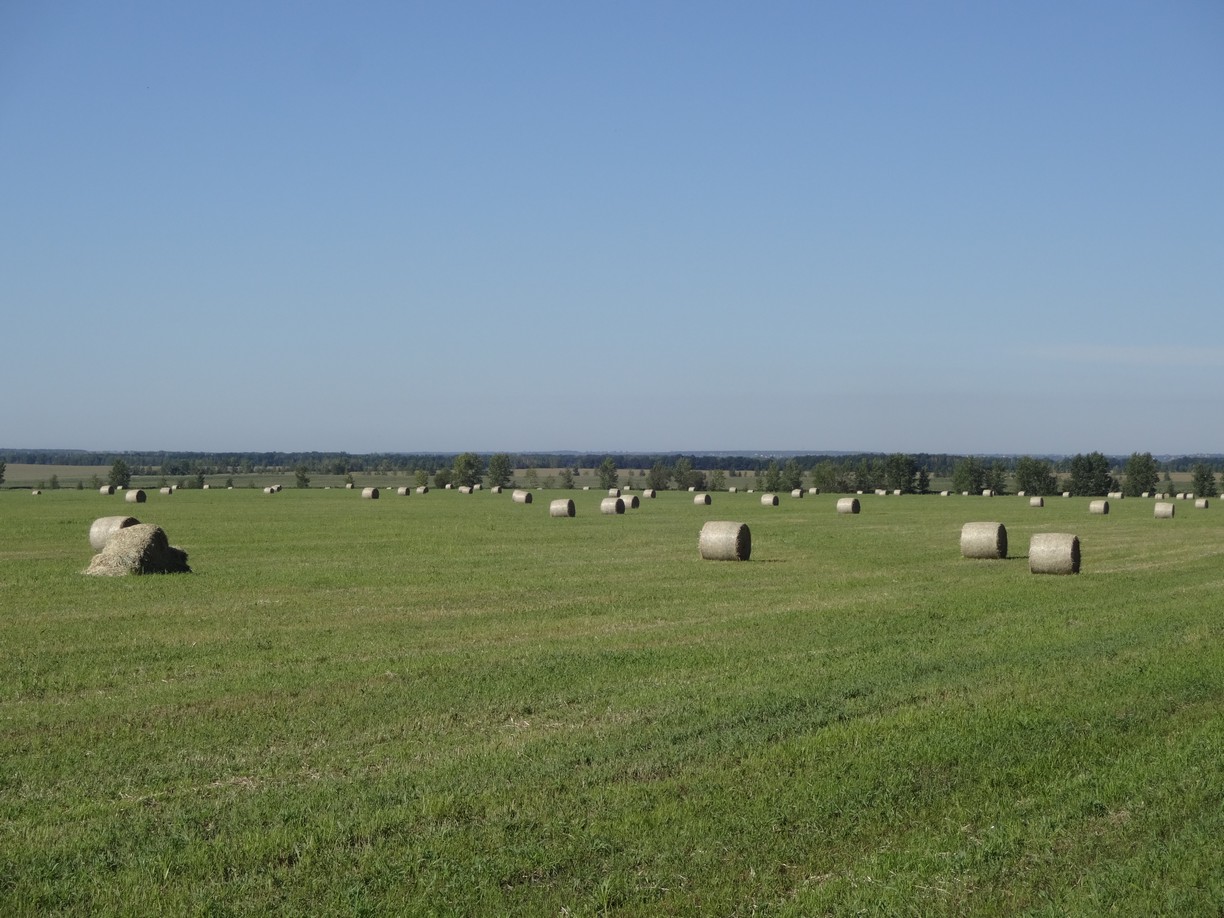 DSC00794.JPG