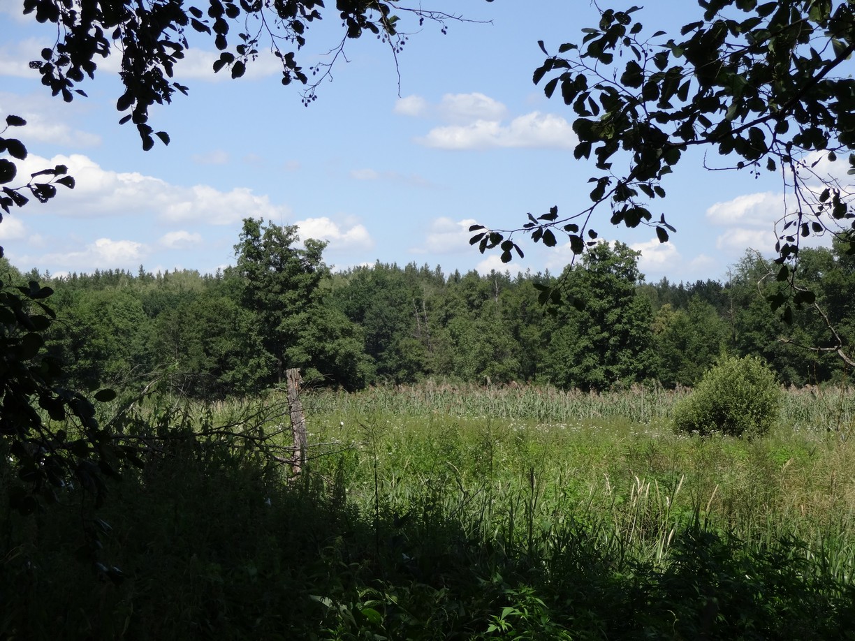 DSC00806.JPG
