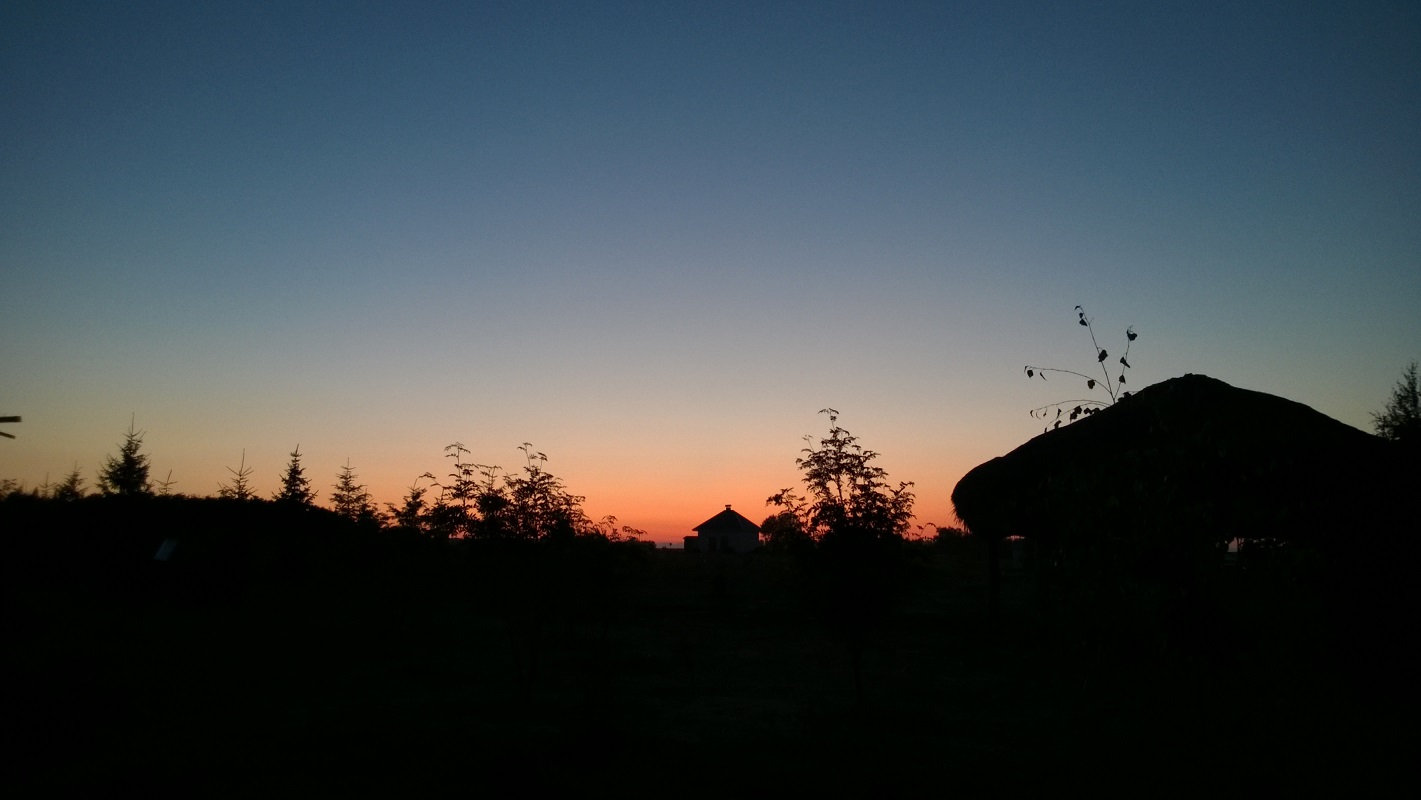 WP_20140730_037.jpg