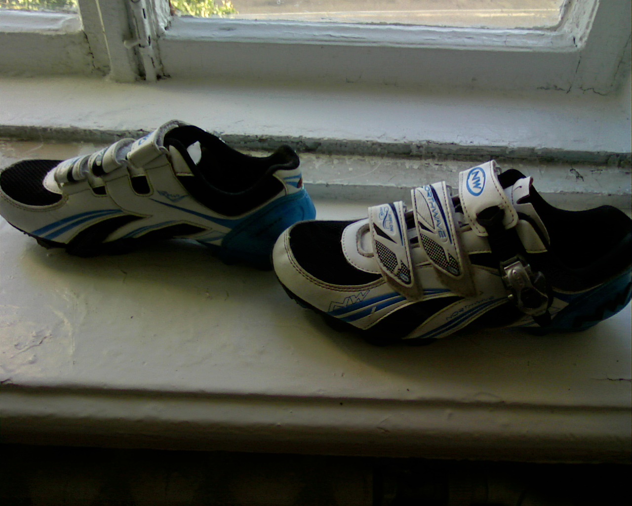 Picture 5.jpg