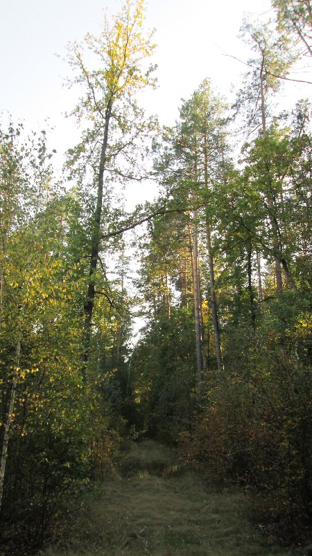 IMG_1942.JPG