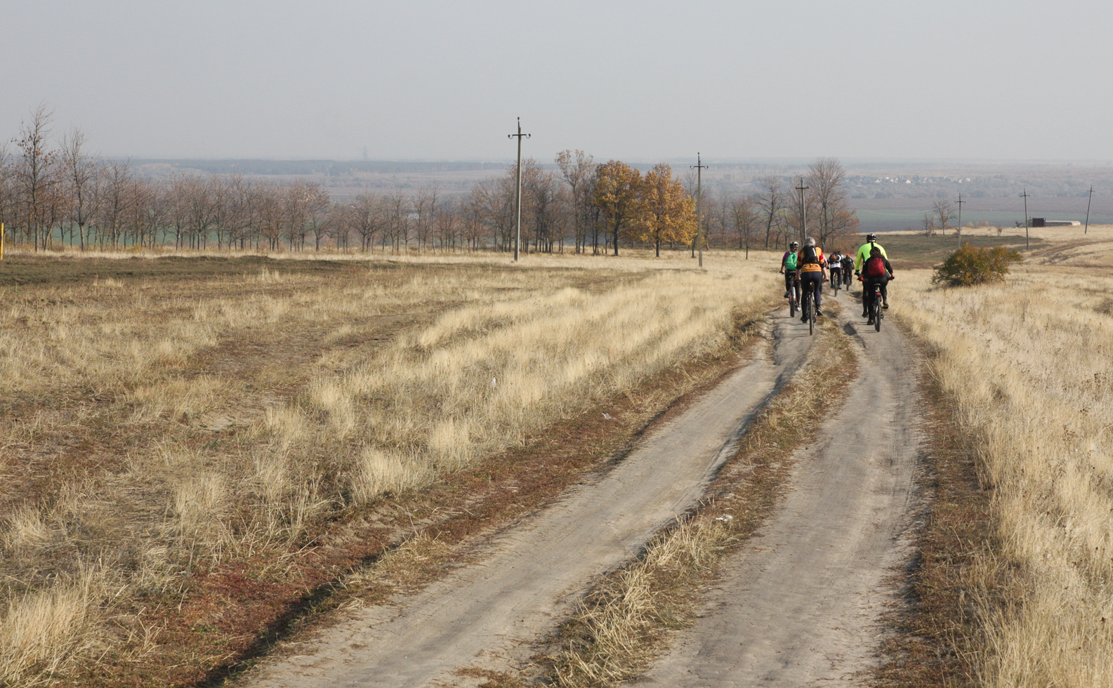 2014_10_12_6261_a.jpg