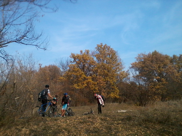 riverbank.jpg