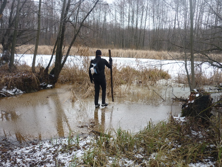 5 walking.jpg