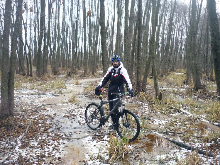 8 wet forest.jpg