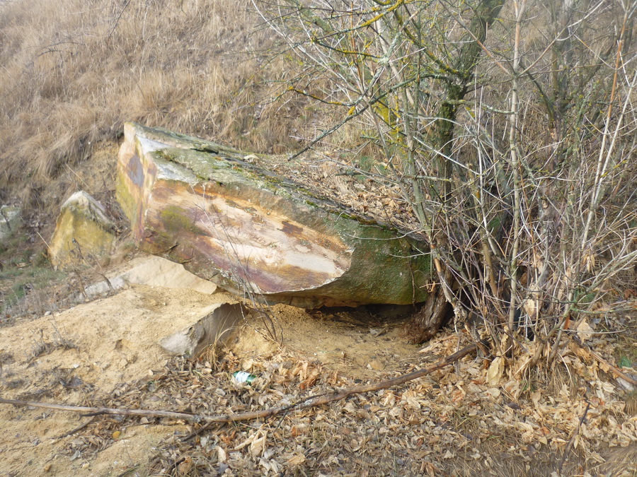 12megalit31.jpg