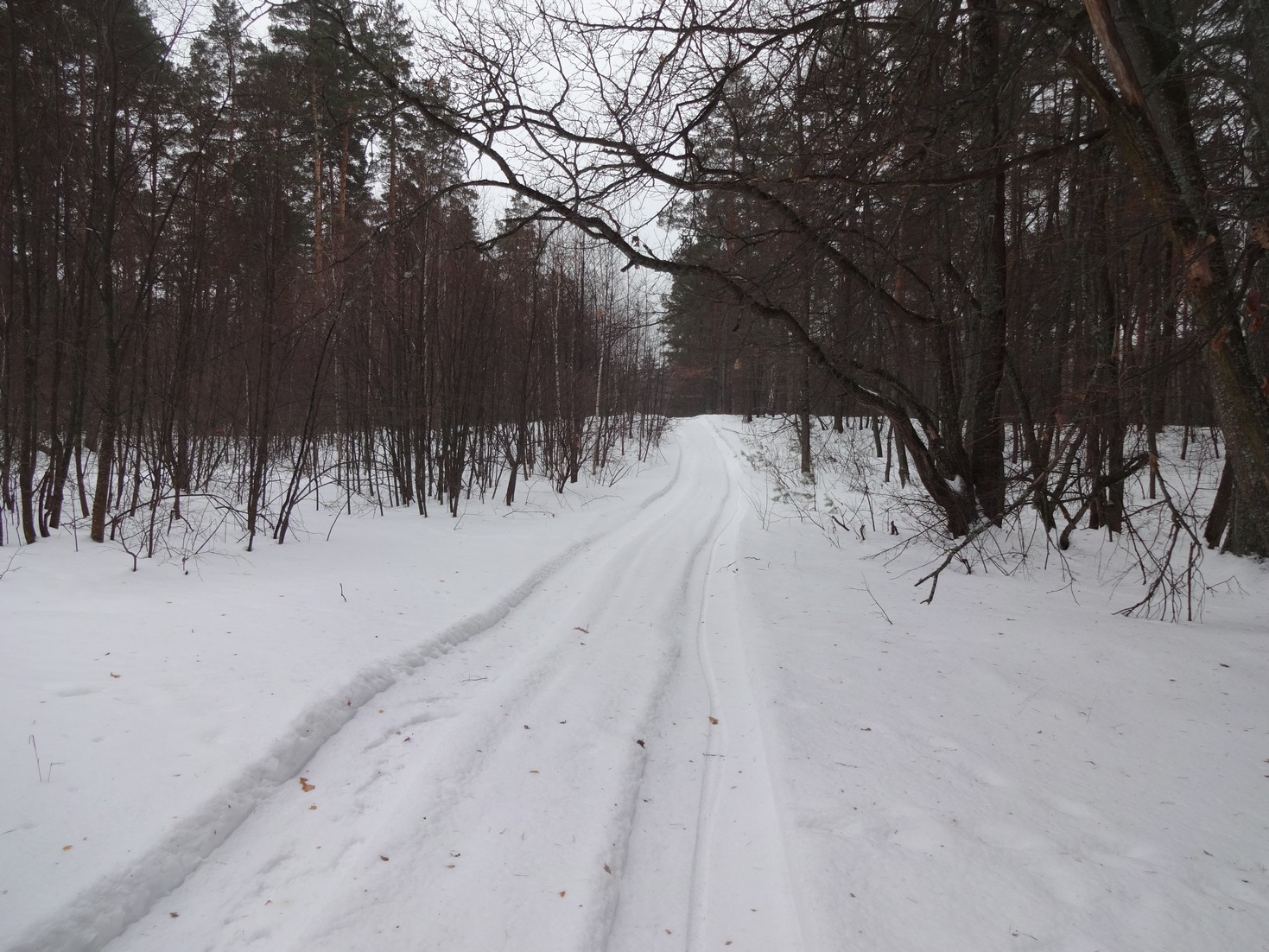На &quot;первой просеке&quot;